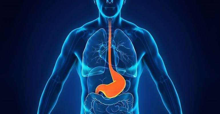 DIGESTION/ GAS/ ACIDITY